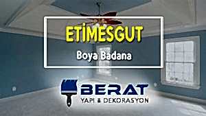 Etimesgut Boya Badana